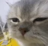 1740383538938.png