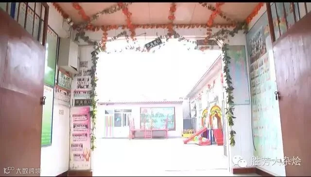 整体外观