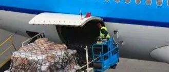 德迅集团与谷歌云签署SAF协议，推动航空物流减碳