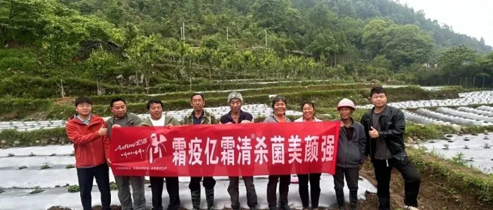 2026年工业辣椒，亿霜清全程护航！