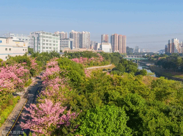 DJI_0362_副本.gif