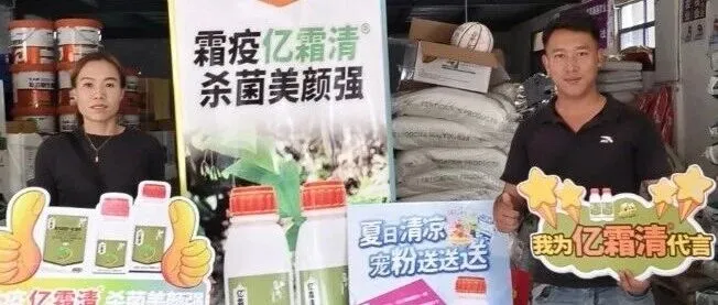 夏季霜霉、疫病高发！云南绿穗携手山东亿嘉7月亿霜清行动来袭！