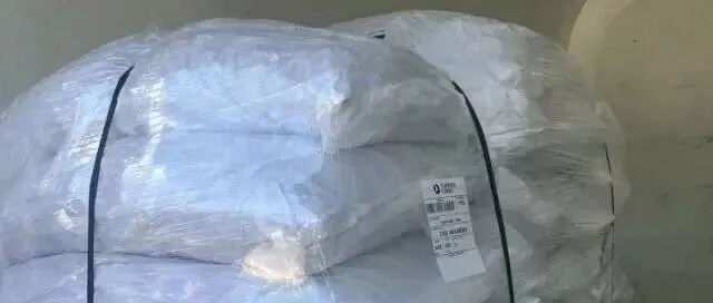 希腊海参进口报关代理，海参进口清关必看