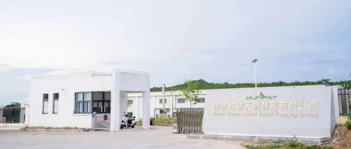 两场特胶盛会，同一个国产梦想 | 特种天然橡胶产需对接交流活动圆满召开