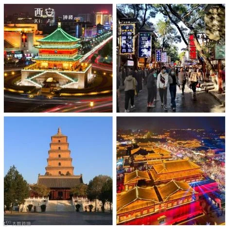 图片12.png