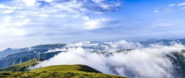 【周三】7月1日--南水泉-东甸子梁-马杓庵一日高山草甸赏花环穿（初级强度）