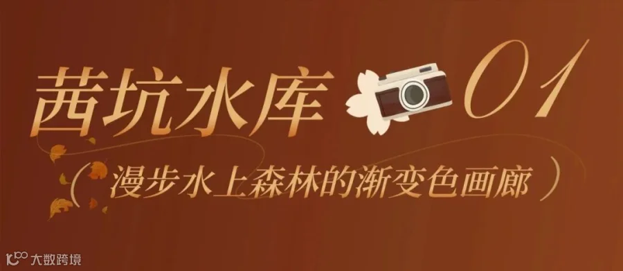 上新! (1).jpg