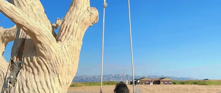 端午大巴3日｜内蒙<em>乌海</em>•西部梦幻峡谷の<em>乌海</em>湖-网红枯树/公路-五当召-谷力脑包火山遗址