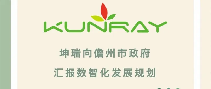 简讯｜坤瑞向<em>儋州</em>市政府汇报数智化发展规划