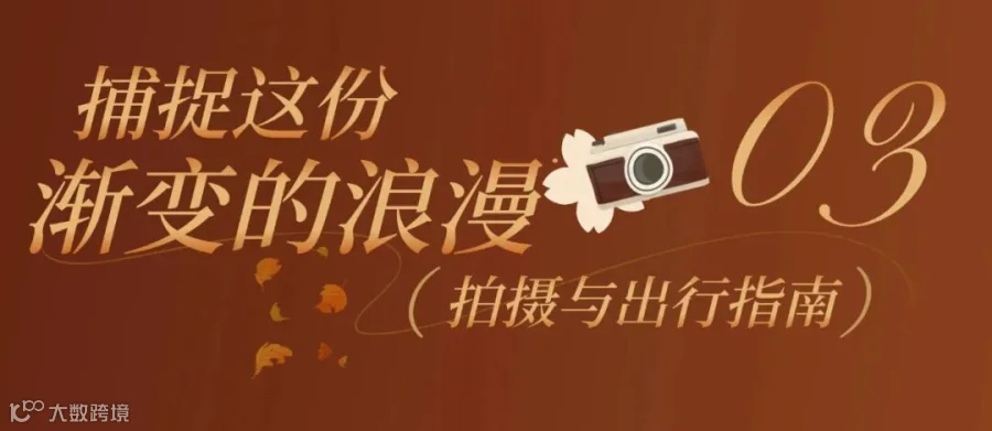 上新! (3).jpg