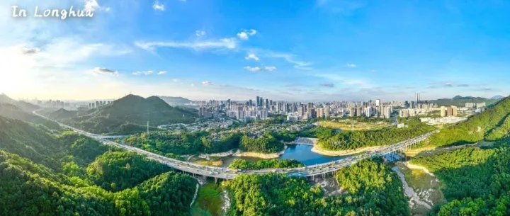 龙华区：以共治破解超大城市治理难题