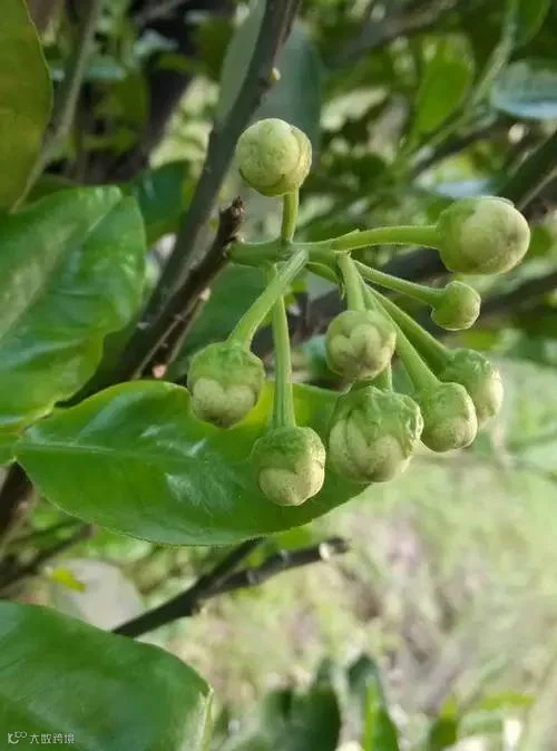 21 (1).JPG