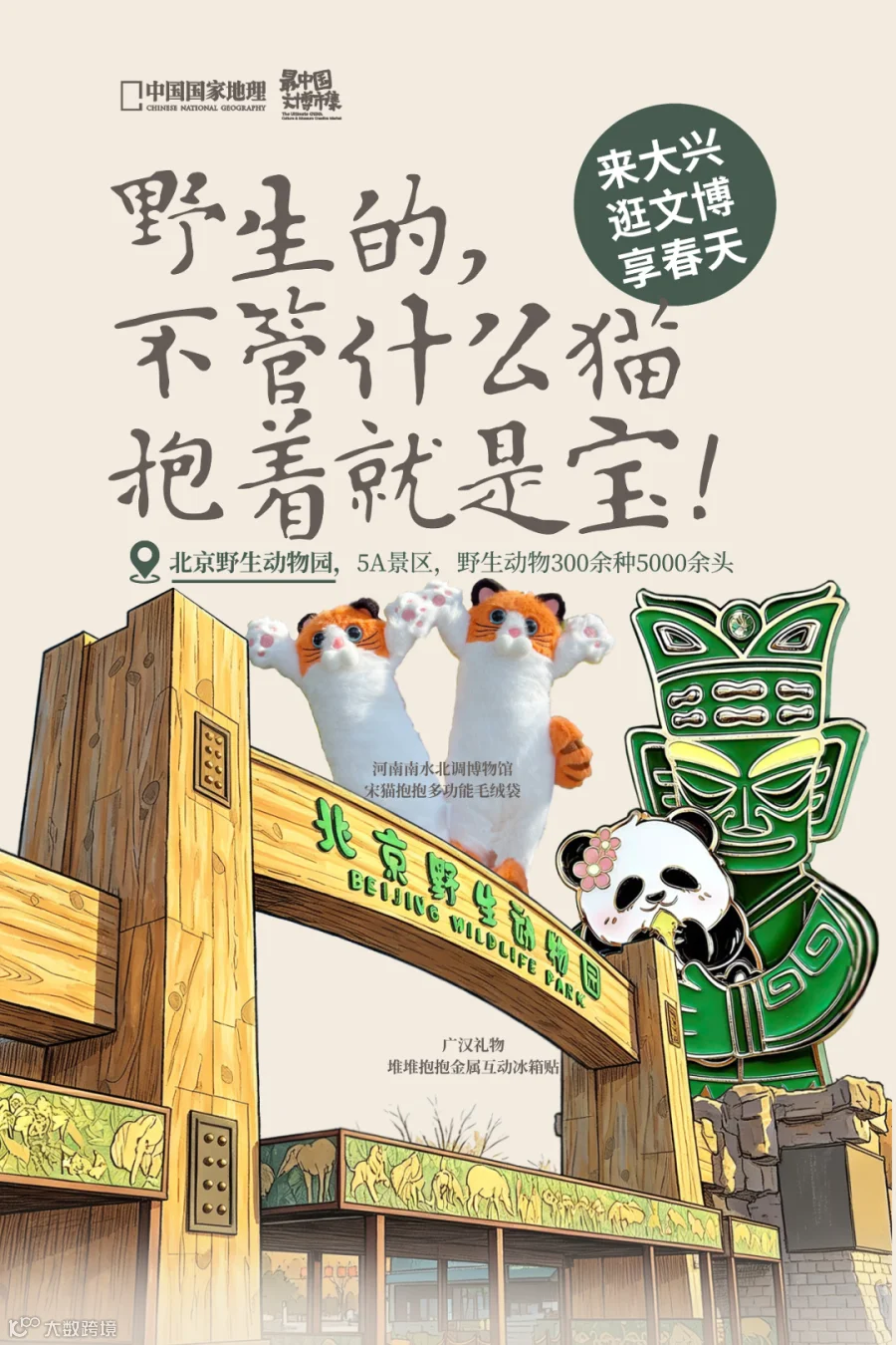 插图