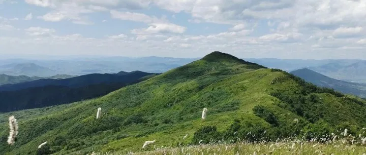 7.5周日丨京畿10峰丨初级丨大黑峰：百花盛开