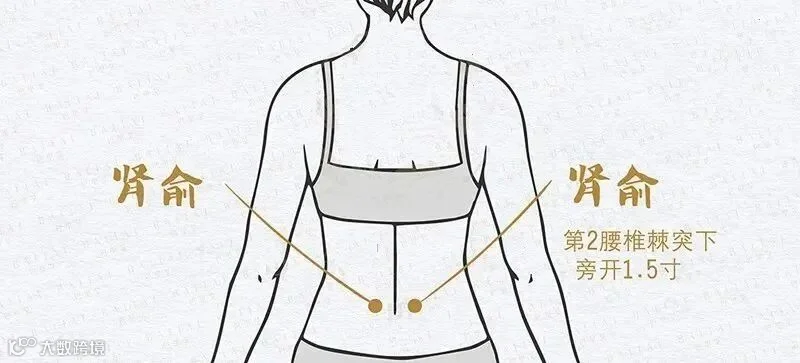 肾俞穴1.jpg