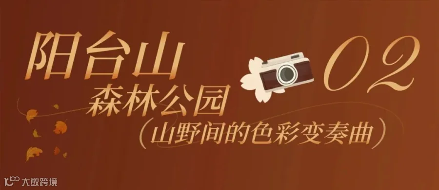 上新! (2).jpg
