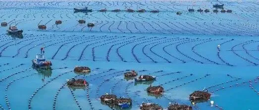威海给山东争光了，山东首个闯入市值百亿梯队的渔业制造企业亮相了，那就是海洋食品装备相关企业！