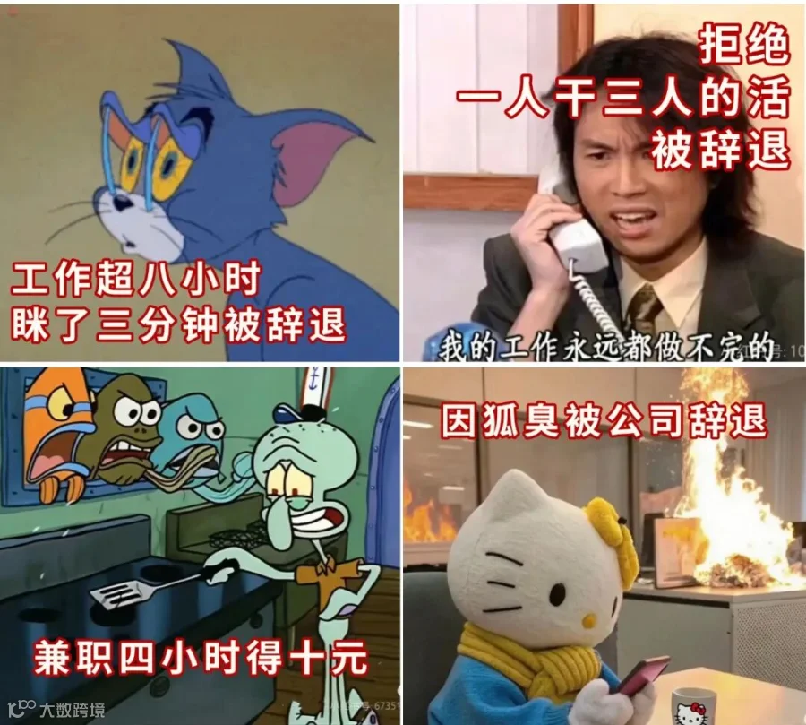 教育吸睛表情包对比梗图小红书封面aigc.jpg