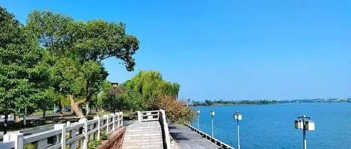 第一次陪外国朋友游览常德，我终于理解真实体验为什么比网络印象更有说服力。