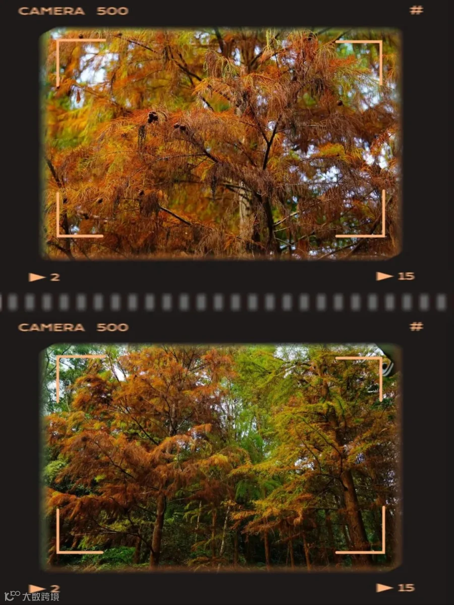 画板 1.jpg