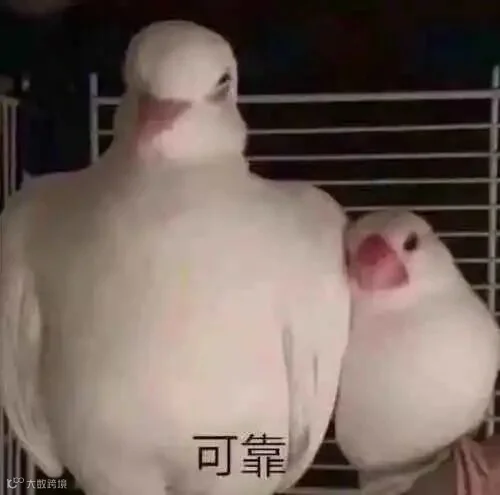 微信图片_20201229171727.jpg