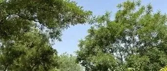 未来<em>吴忠</em>市中心可能要整体东移到滨河新区！