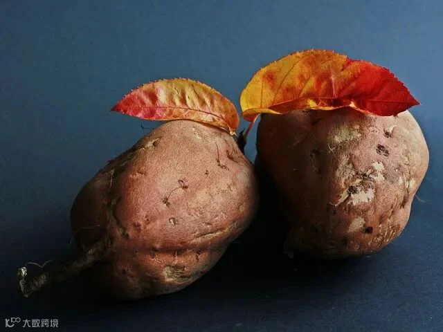 sweet-potato-534874__480.jpg