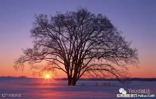 拍好雪景摄影师必备的20招