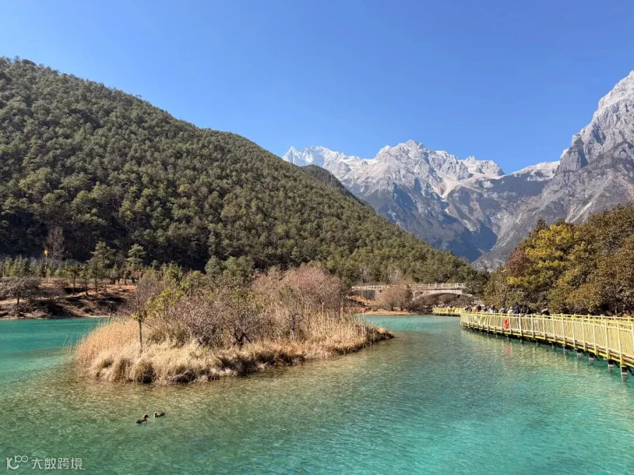 序号6_新兴分公司吴天昊_这个春天，哪些片刻让你想要记录_IMG_2984.jpeg