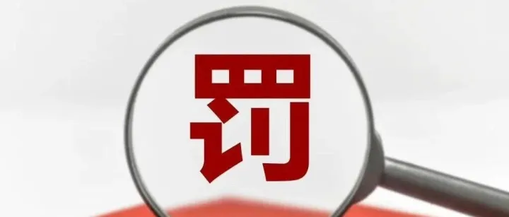 6.8亿骗购换汇大案！涉案支付机构和相关人员收到超7000万罚单