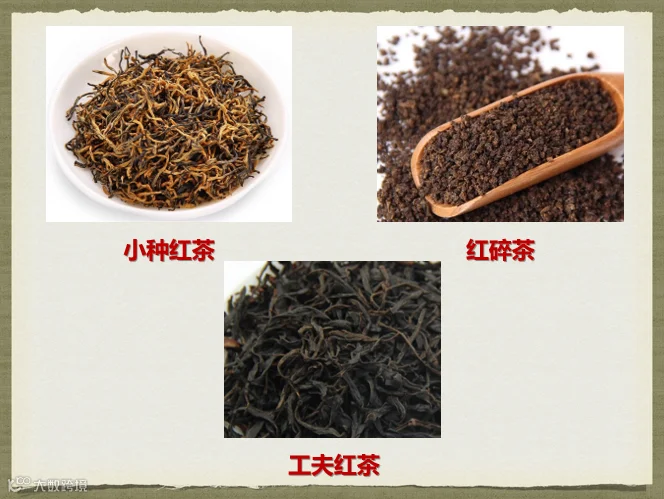 红茶分类.png
