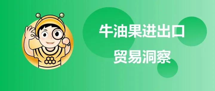 2026年05月中国牛油果进出口贸易洞察