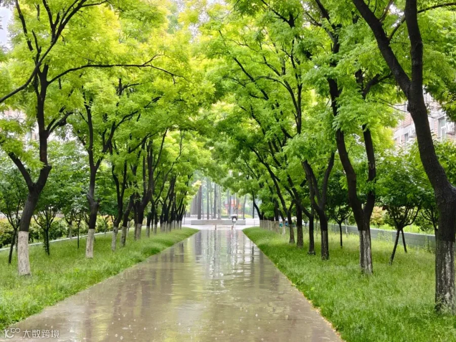 《夏日风光4》+刘佳瑞+经济管理系25级现代物流管理1班+19561406833.jpg