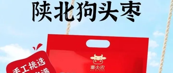 秦大农正宗陕北狗头枣｜一口咬出黄土高原的香甜，家乡味道从未远离