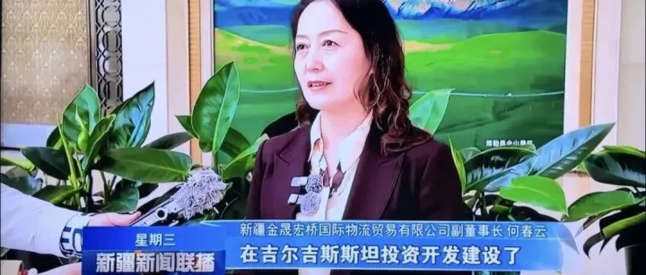 中国（新疆）—吉尔吉斯斯坦投资与进出口贸易对接会在乌鲁木齐举行