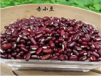 赤小豆.png