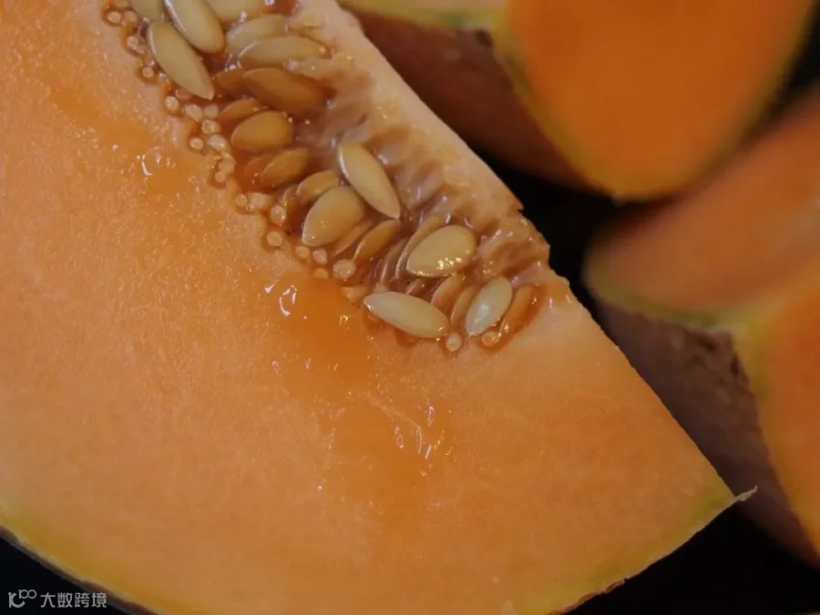 melon-1565567_1280.jpg