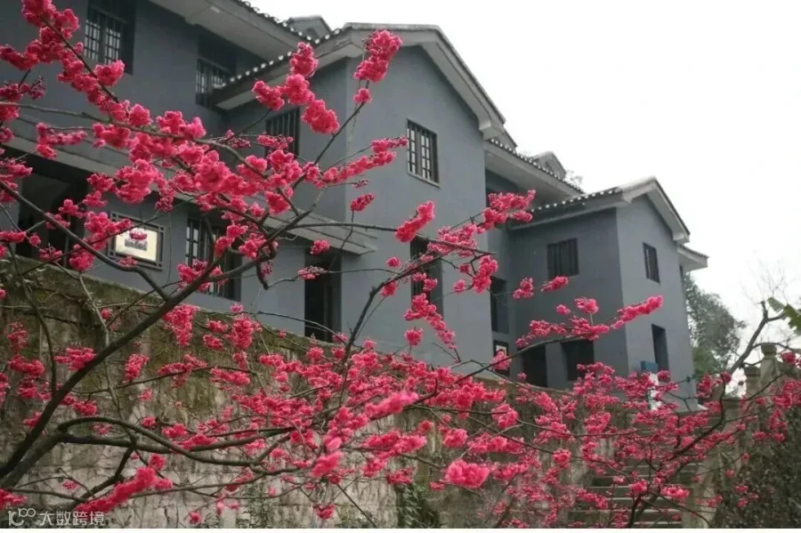 微信图片_2025-10-15_143148_193.jpg