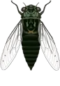 1467802496167737.gif