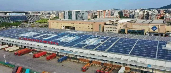 鹭岛港务涵碧色   保税园区追光行