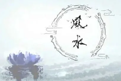 2021牛年出生的宝宝好不好