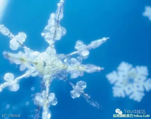 拍好雪景摄影师必备的20招