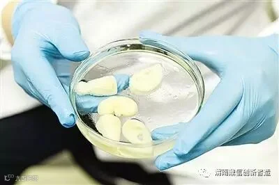 解析基于生物相容性材料的3D打印骨骼修复技术的研究与应用