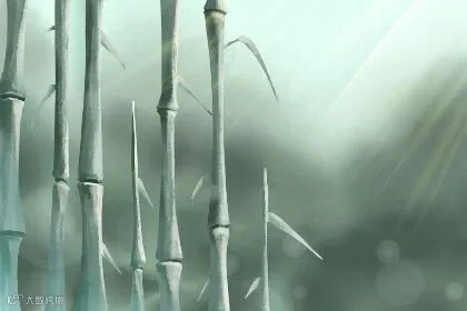 眉骨高命好不好,男人眉骨高面相揭秘