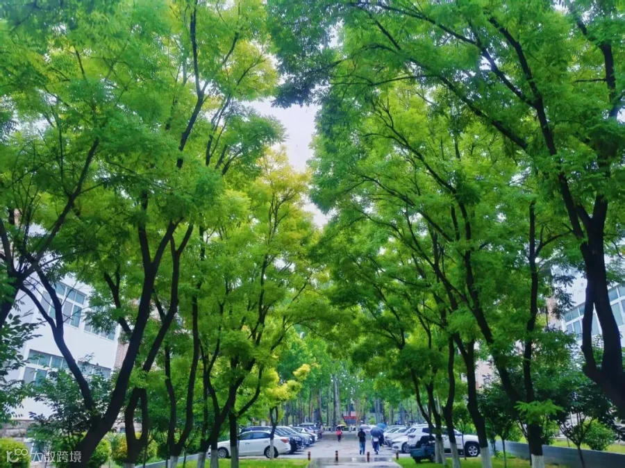 冯雯丽 经济管理系.jpg