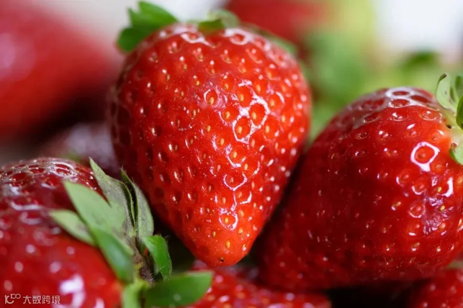 strawberries-4330211_1280.jpg