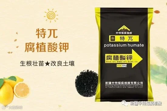 鏂扮枂涓壒鐓よ厫妞嶉吀鏈夐檺鍏徃3.jpg