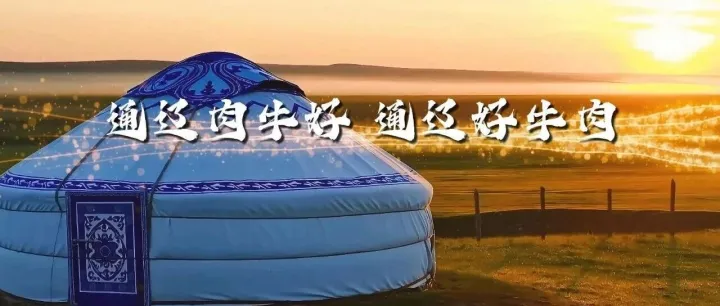 通辽三百万肉牛配齐数字身份证 溯源二维码守护草原奶香牛肉品质