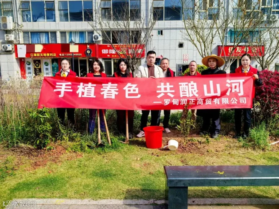 插图
