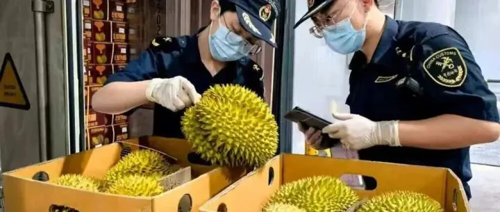 【新华社客户端】从果园到餐桌，东盟水果加速进入中国市场